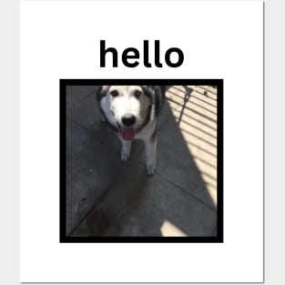 Cute Funny Silly Husky Dog Looking Up Hello Caption Posters and Art